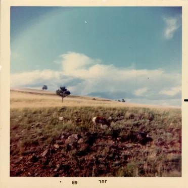 Jul 66