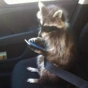 hm