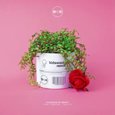 tbh ily (Kidswaste remix)