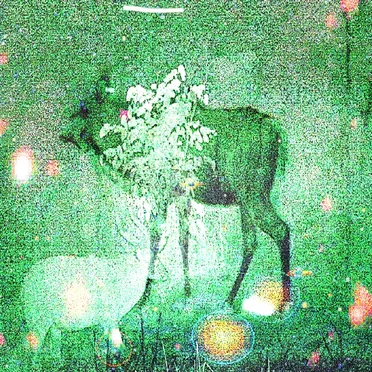 Wombs and Alien Spirits by Ghost Lemurs - album cover