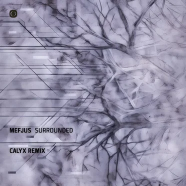 Surrounded (Calyx remix)