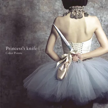 Princess’s knife by ColorPointe - album cover