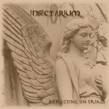 Reflecting on Trials