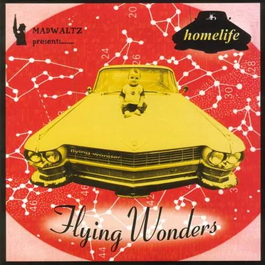 Flying Wonders