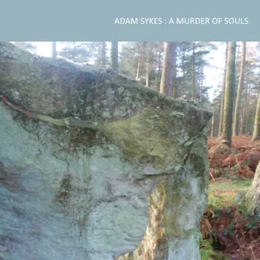 A Murder of Souls