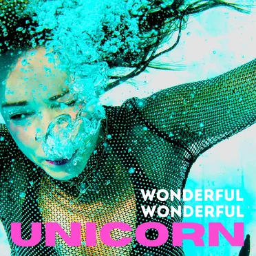 Wonderful Wonderful by UNICORN - album cover