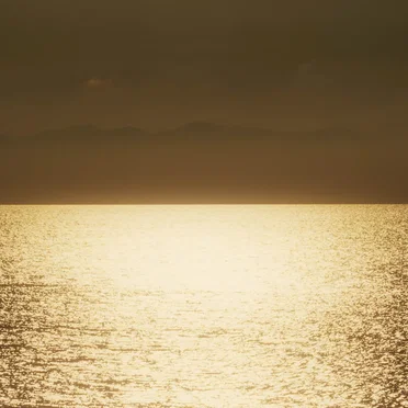 Ambient Waves From Niigata by Various Artists - album cover