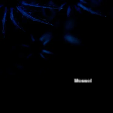 Mossol by Mossol - album cover