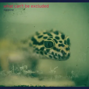 what can't be excluded by Sappow - album cover