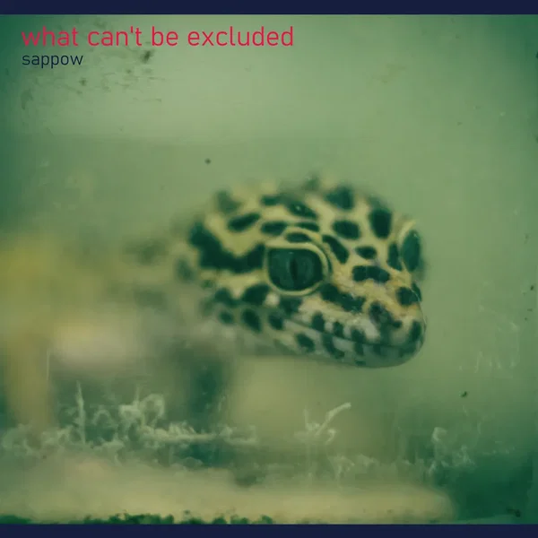 what can't be excluded
