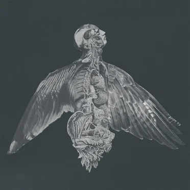 øjeRum