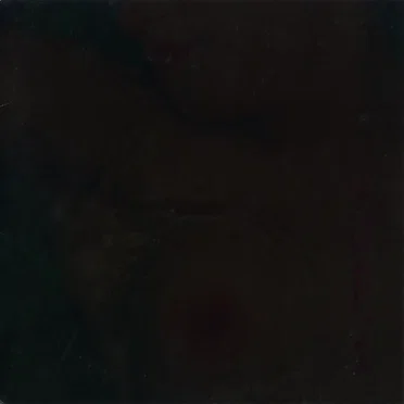 今夜は入れたまま