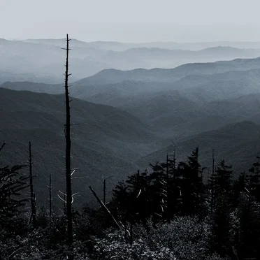 Solitude