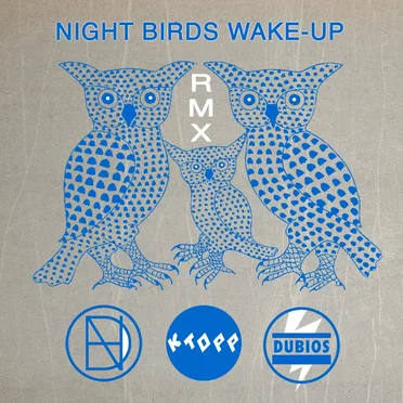 Night Birds Wake Up Rmx