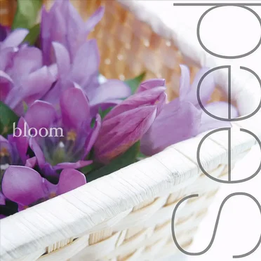 Seed by bloom - album cover