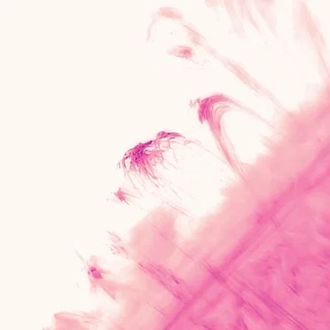 These Are the Good Days by Star Club West - album cover