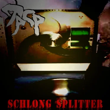 Schlong Splitter (OUTTAKE) by The Poop Cock Project - album cover