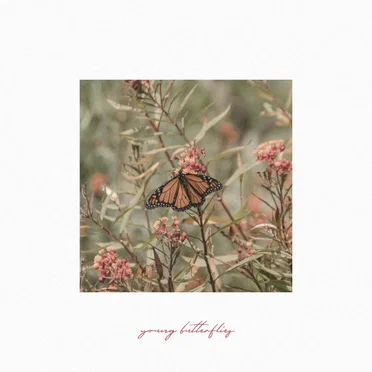 Young Butterflies