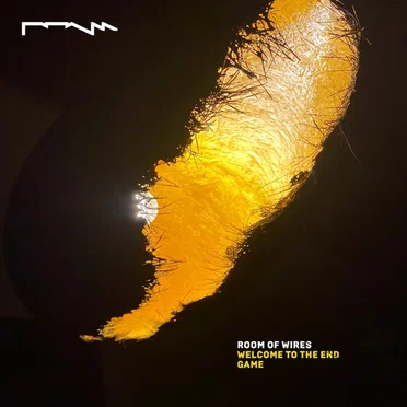 Welcome to the End Game by Room of Wires - album cover