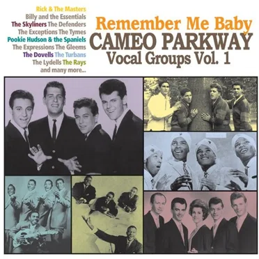 Remember Me Baby: Cameo Parkway Vocal Groups, Vol 1. by Various Artists - album cover
