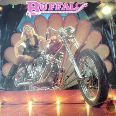 Average Rock 'n' Roller