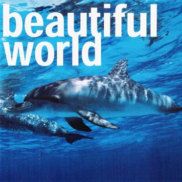 beautiful world by LIQUID - album cover