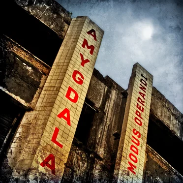 Modus Operandi by Amygdala - album cover