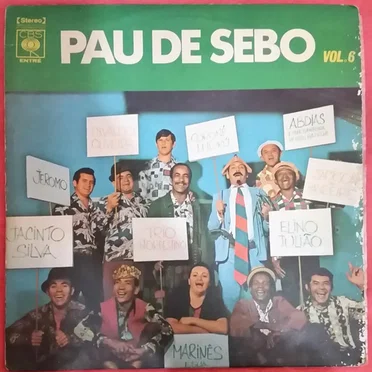 Pau De Sebo Vol. 6 by Various Artists - album cover