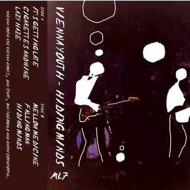 Hiding Minds by Vienna Youth - album cover