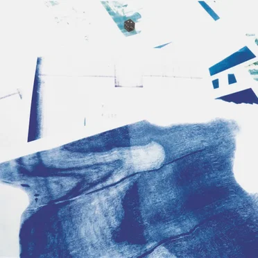 Comme un seul narcisse