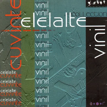 Vinil by Celelalte cuvinte - album cover