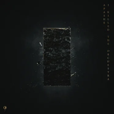 I Killed the Orchestra