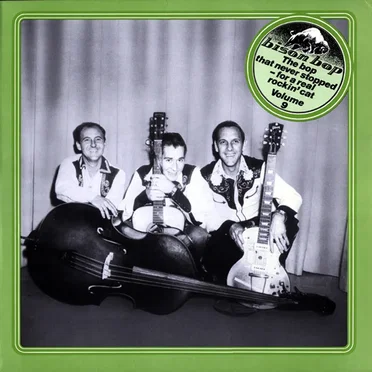 Bison Bop: The Bop That Never Stopped – For a Real Rockin’ Cat, Volume 9 by Various Artists - album cover