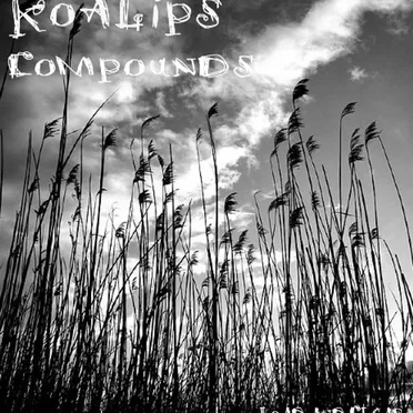 Compounds EP by Koalips - album cover