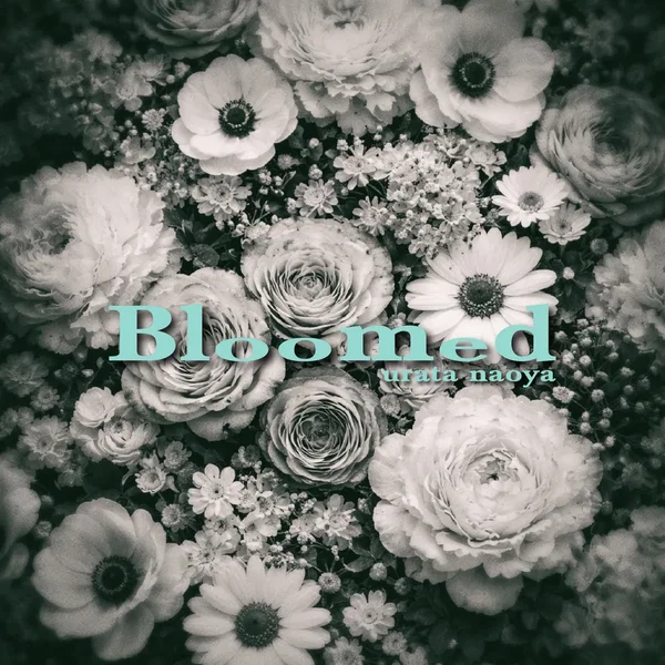 Bloomed