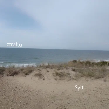 Sylt