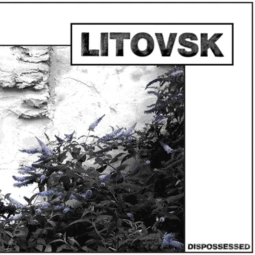 Dispossessed by Litovsk - album cover