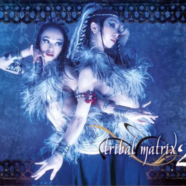 Tribal Matrix 2 by Various Artists - album cover