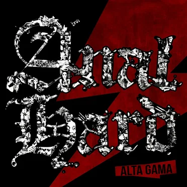 Alta Gama by Anal Hard - album cover
