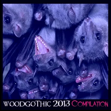 Woodgothic Compilation 2013 by Various Artists - album cover