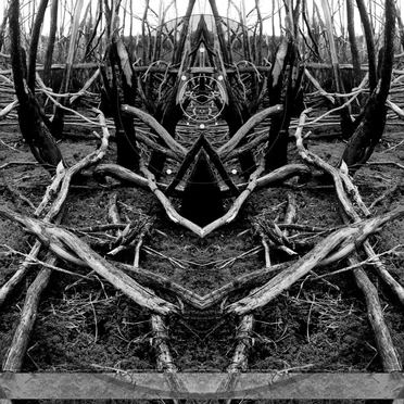 Distortion and Dissonance: Australian Hardcore Sampler by Various Artists - album cover