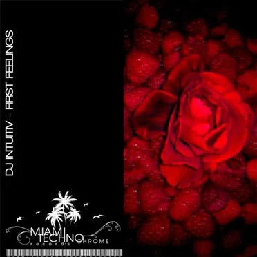 First Feelings by DJ Intuitiv - album cover