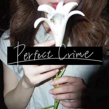 Perfect Crime