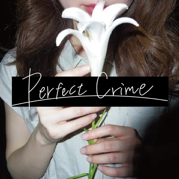 Perfect Crime