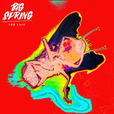 Too Late by Big Spring - album cover
