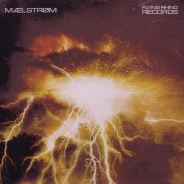 Mælstrøm: Fifth Flight by Various Artists - album cover