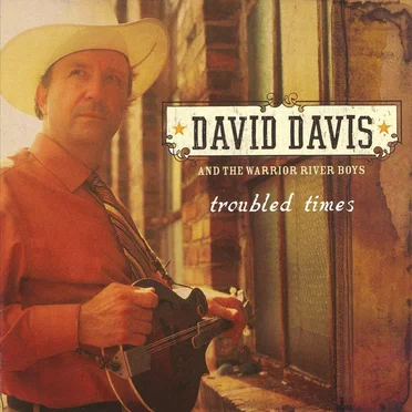 Troubled Times by David Davis - album cover