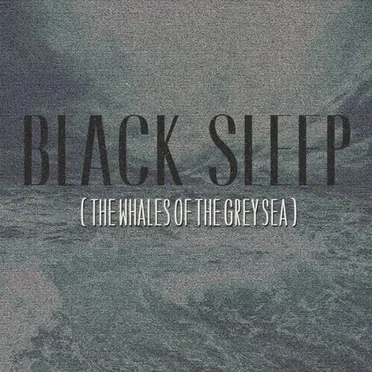 Black Sleep
