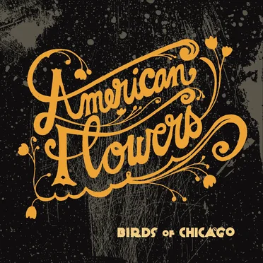 American Flowers by Birds Of Chicago - album cover