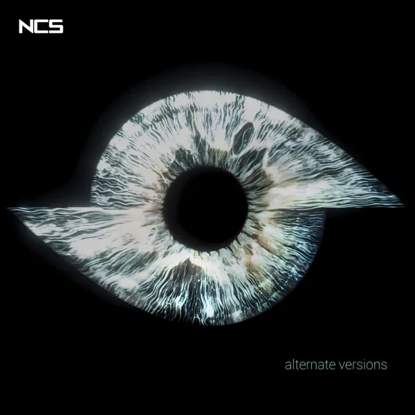 Recall (Alternate Versions)